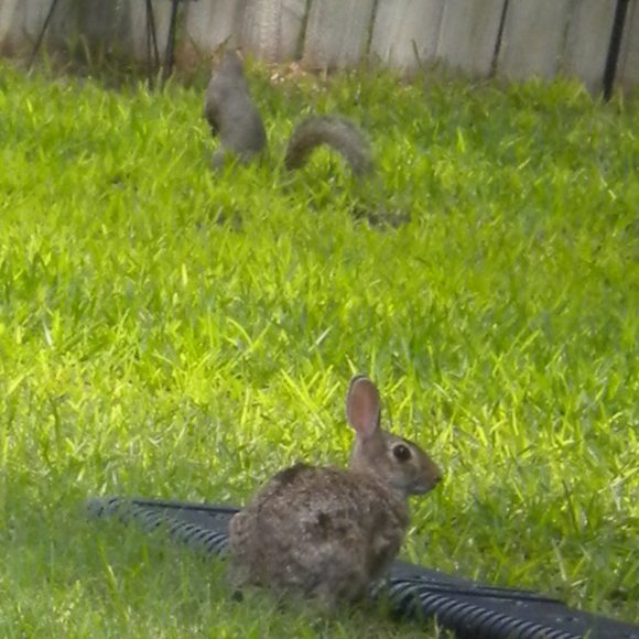 Meet your Posher, Dee - Picture 8 of 8